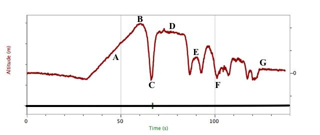Graph C